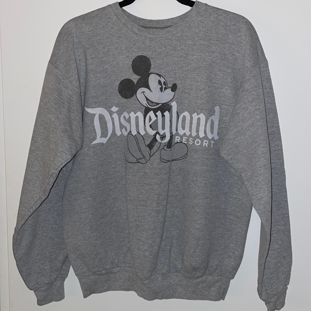 Disney pullover from Disneyland resorts.